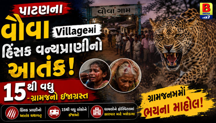 પાટણના વૌવા Villageમાં હિંસક વન્યપ્રાણીનો આતંક Urgent Rescue 2026