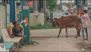 Gujarat