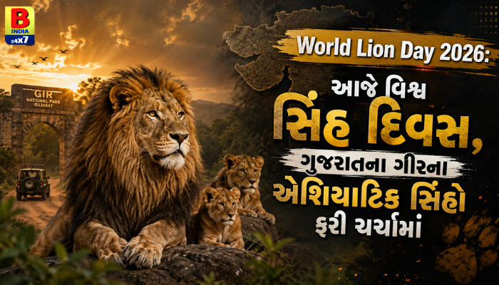 World Lion Day 2026 Gujarat’s Pride ‘King Of The Jungle’ : ગરવી ગુજરાતના સાવજનું ગૌરવ
