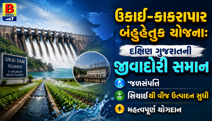 Engineering Marvel On Tapi River 2026: સિંચાઈથી લઈને વીજ ઉત્પાદન સુધી Dynamic Progress