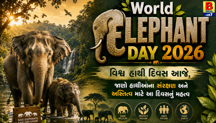 World Elephant Day: Protecting The Gentle Giants: 12 ઓગસ્ટે ‘વિશ્વ હાથી દિવસ’ની ઉજવણી