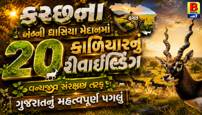 Kutch Banni Grasslands Welcome 20 Blackbucks Wildlife Triumph: જામનગર ‘વંતારા’ માંથી 20 કાળિયાર સફળતાપૂર્વક મુક્ત