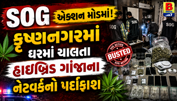 Ahmedabad: કૃષ્ણનગરમાં 24 લાખના હાઇબ્રિડ ગાંજાનો જથ્થો ઝડપાયો, SOGની કાર્યવાહીથી ચકચાર…