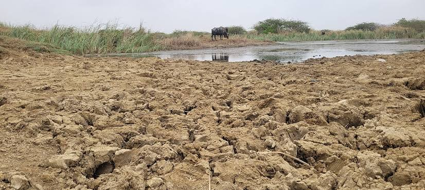 Porbandarમાં ઓછા વરસાદ વચ્ચે પાણીની ચિંતા દૂર કરવા સરકારનું મોટું આયોજન …