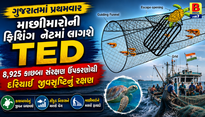 Gujaratમાં પ્રથમવાર માછીમારોની ફિશિંગ નેટમાં લાગશે TED Wildlife Protection 2026