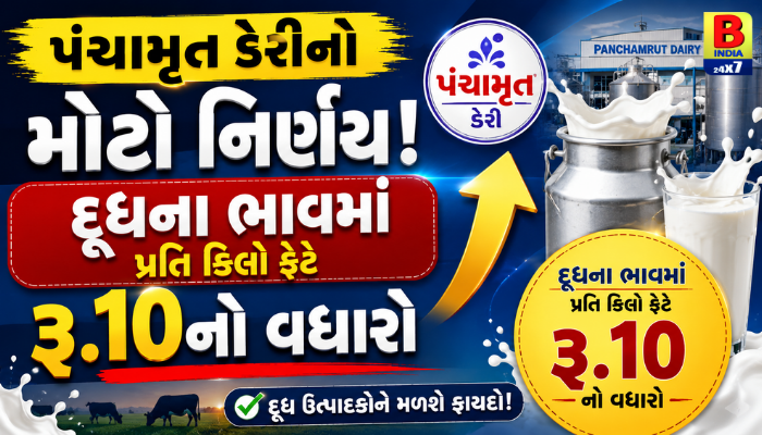 પંચામૃત ડેરીનો મોટો નિર્ણય: દૂધના ભાવમાં પ્રતિ કિલો ફેટે રૂ. 10નો વધારો : Awesome