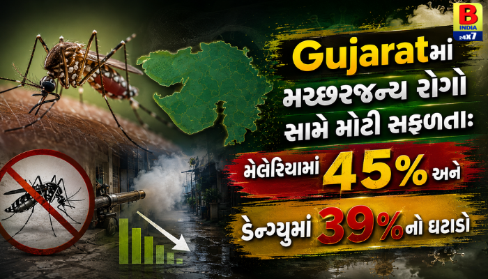Gujaratમાં મચ્છરજન્ય રોગો સામે મોટી સફળતા: મેલેરિયામાં 45% અને ડેન્ગ્યુમાં 39%નો ઘટાડો