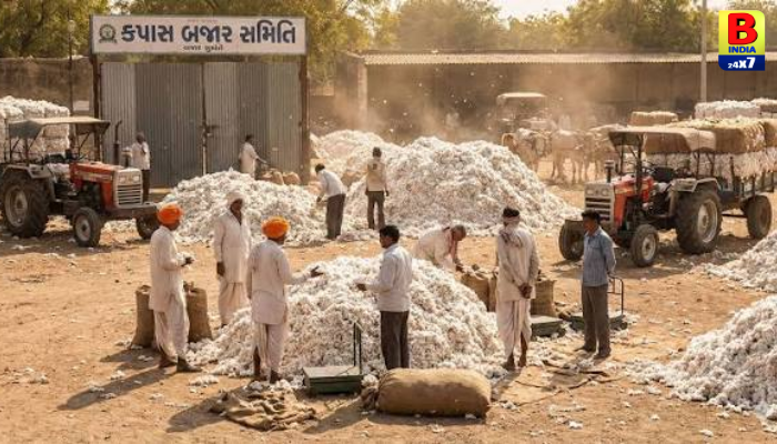 Cotton MSP Rate 2026-27 Gujarat: કપાસના ભાવને લઈને સરકારનો મોટો નિર્ણય.. Minimum Support Price..