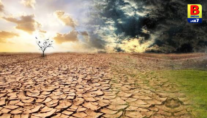 Gujarat : ગુજરાતના ચાર જિલ્લામાં દુષ્કાળ જાહેર… Crisis 1