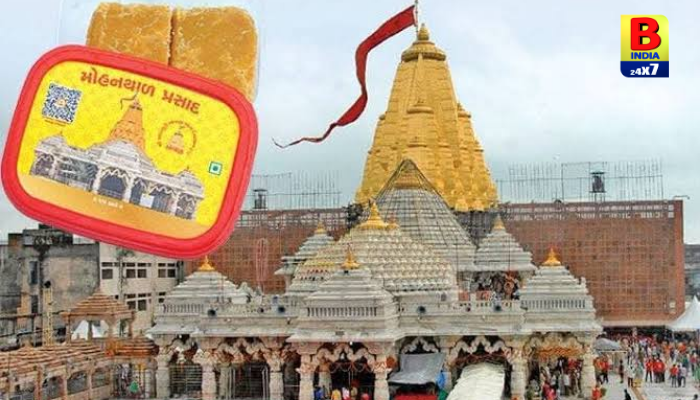 Ambaji Mohanthal Prasad Awarded Official GI Tag 2026: જય અંબે! અંબાજીના પ્રસિદ્ધ મોહનથાળની ગરિમા વધી..